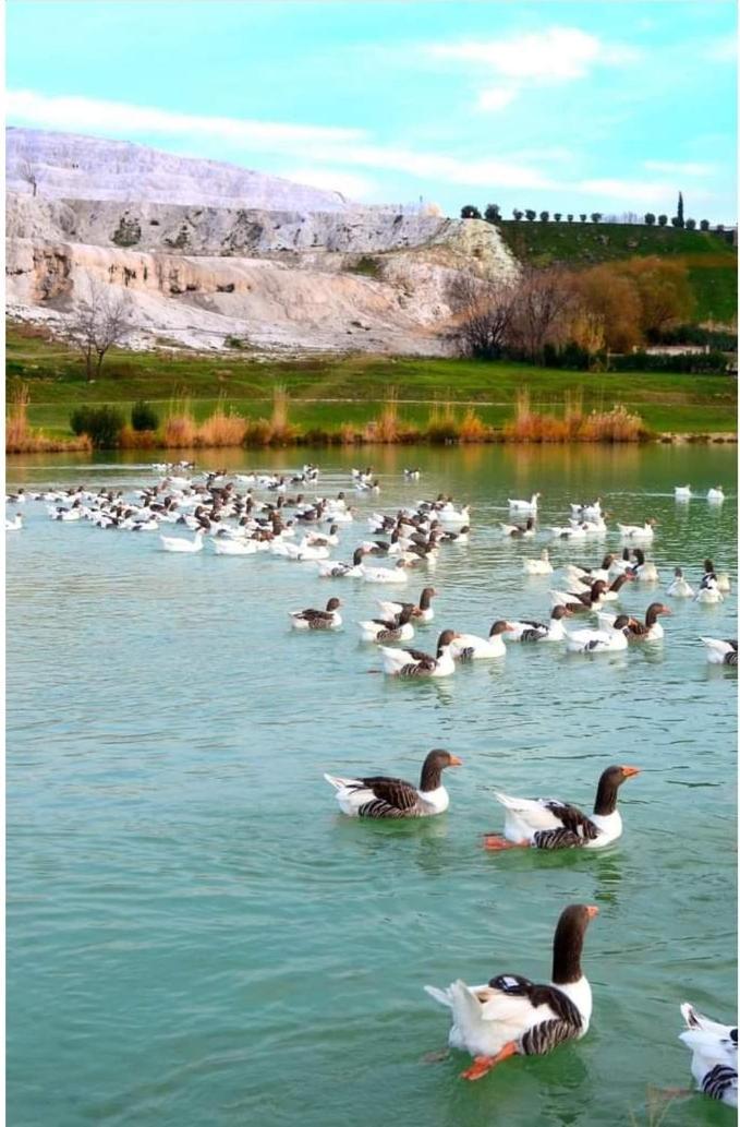 Akapella Hotel Pamukkale Buitenkant foto